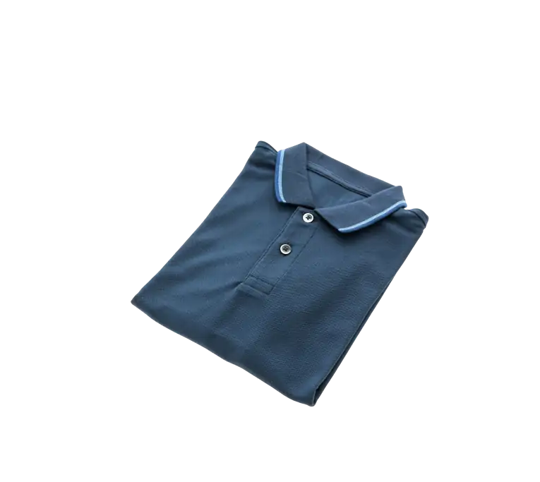 polo 2.webp